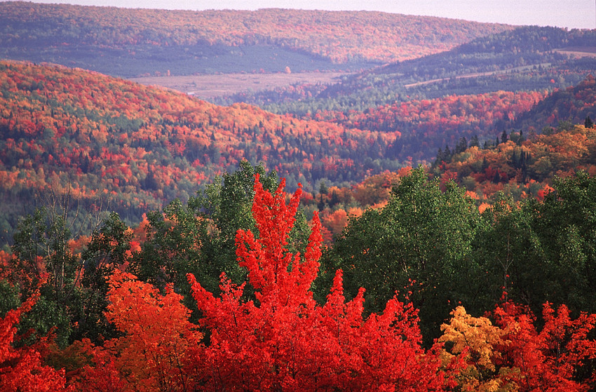 Montréal to Gaspé